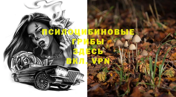 герыч Вязьма