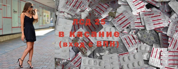 дмт Вяземский