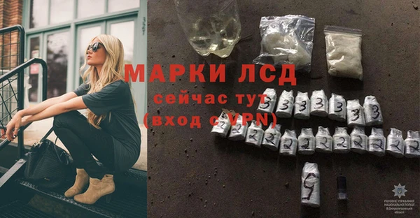дмт Вяземский