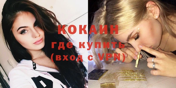 дмт Вяземский